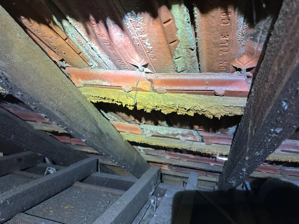 Chemical Delignification of roof battens.